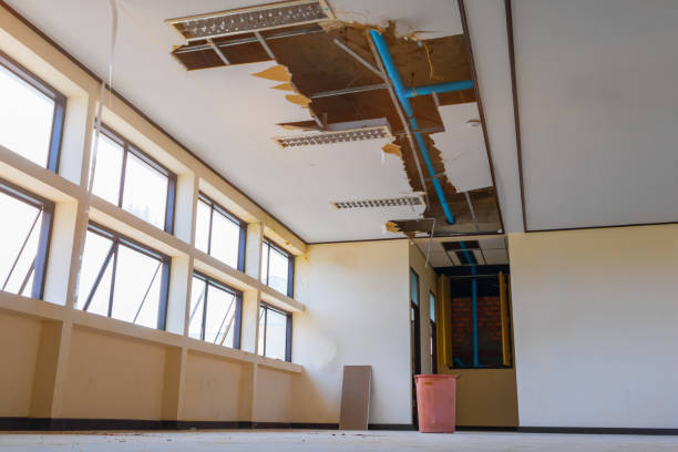 Best Mold removal after water damage  in Estill, SC