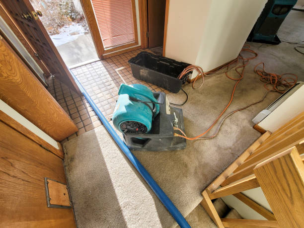 Best Emergency water damage restoration  in Estill, SC