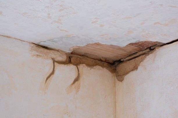 Best 24-hour water damage restoration  in Estill, SC