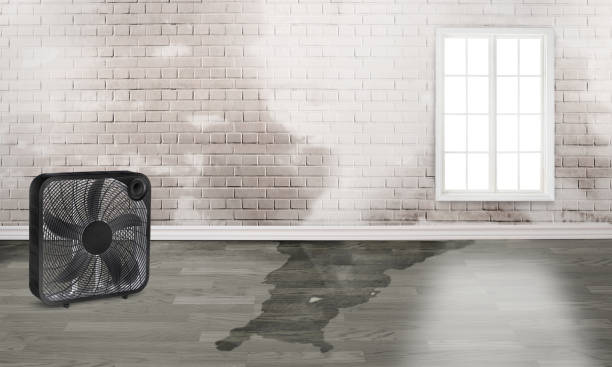 24/7 water damage repair in SC