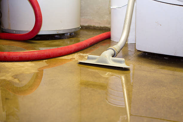 Best Carpet water damage restoration  in Estill, SC