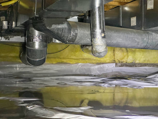 Best Water damage restoration near me  in Estill, SC