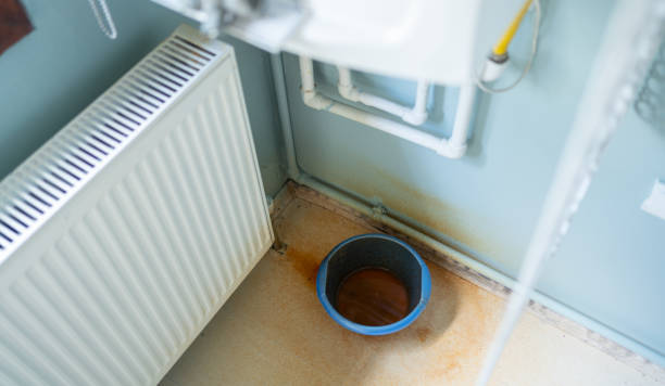 Best Local water damage restoration  in Estill, SC