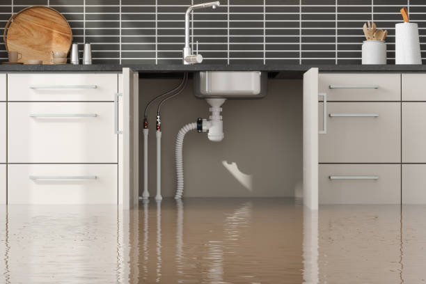Best Residential water damage restoration  in Estill, SC