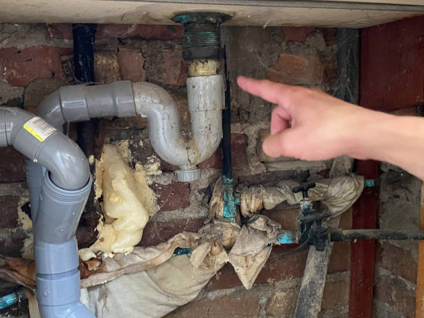 Best Ceiling water damage repair  in Estill, SC