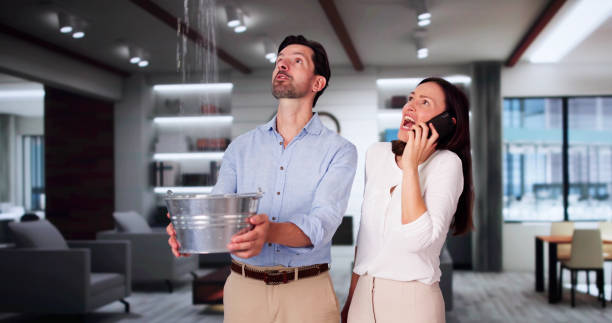Best Ceiling water damage repair  in Estill, SC