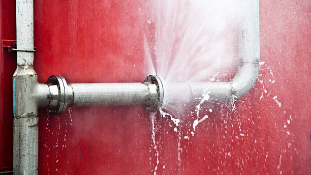 Estill, SC Water damage restoration Pros